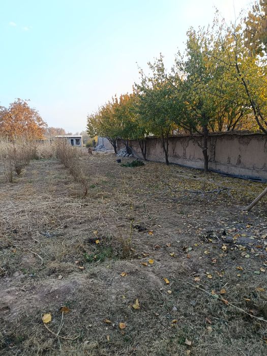 Shahrisabzdan Uchaska sotiladi