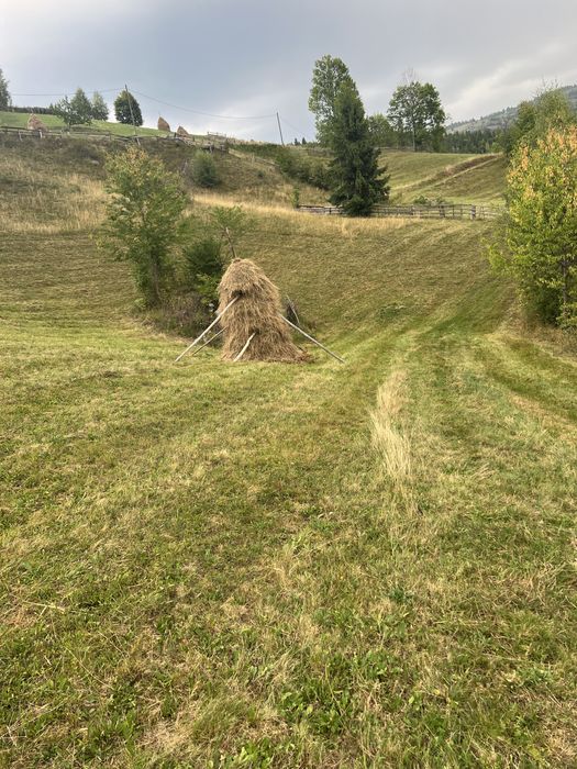 Vând teren în satul Baba, comuna Horea