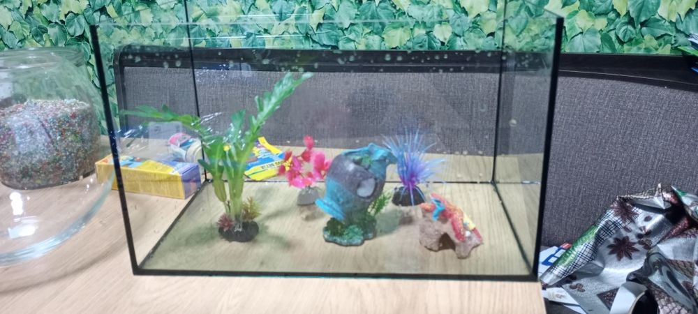 Set acvariu și accesorii pentru pești