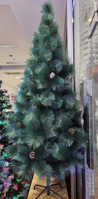 Елха естествено зелена с шишарки