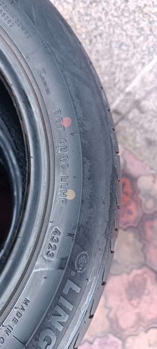 Жентра заватиской шина