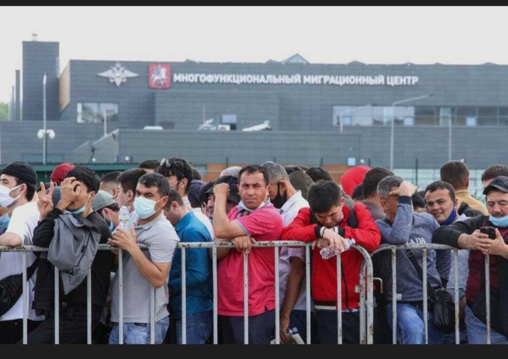 Chegara, migratsiya va vizalar bo‘yicha yuridik yordam – Advokat B.B.R