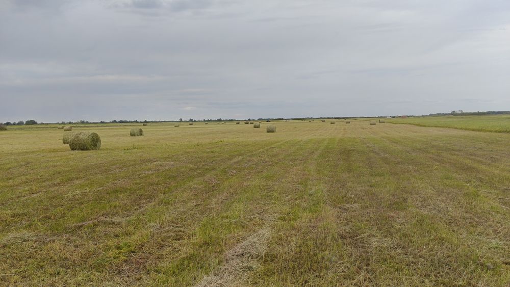 Сено Рулоны 300 -350кг
