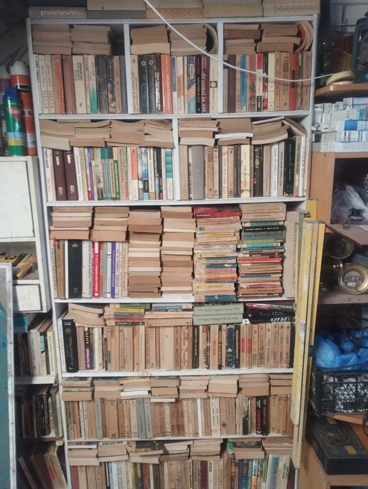 Vând cărți, 700 titluri