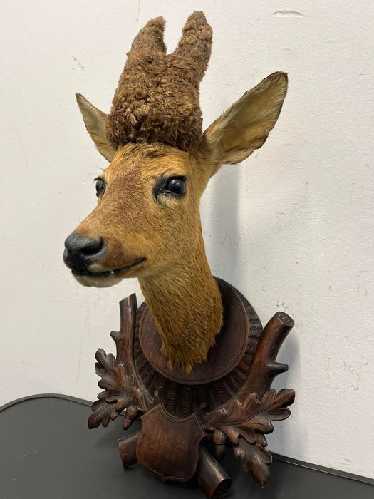 Трофей от сръндак