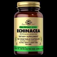 Эхинацея, Solgar Echinacea 100 растительных капсул из Америки