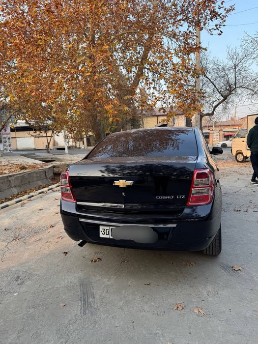 Cobalt 2024 ideal Radnoy kraska