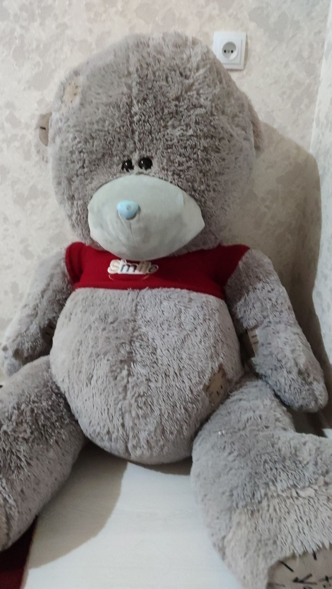 Teddy ayiq sotiladi