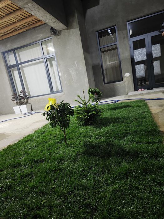 Yevro gazon sifatli va arzon