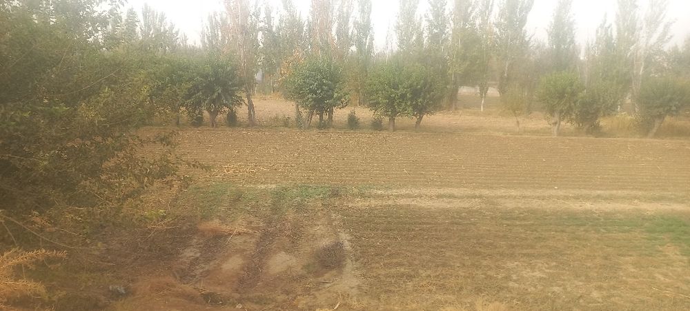 Hovli sotiladi sroshni