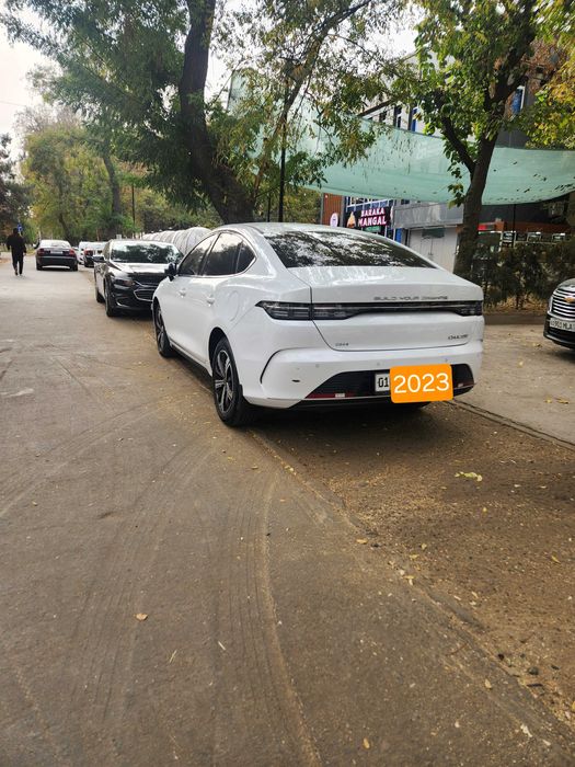 BYD Chazor 2023 / 4 poz