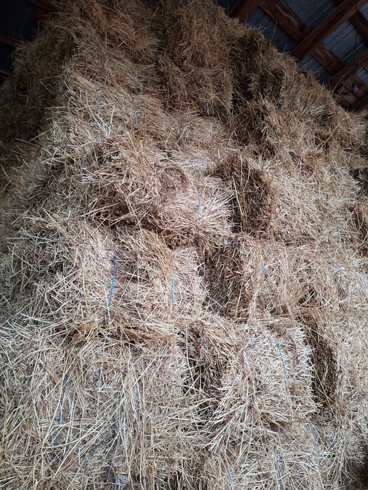 Vand baloti de lucerna