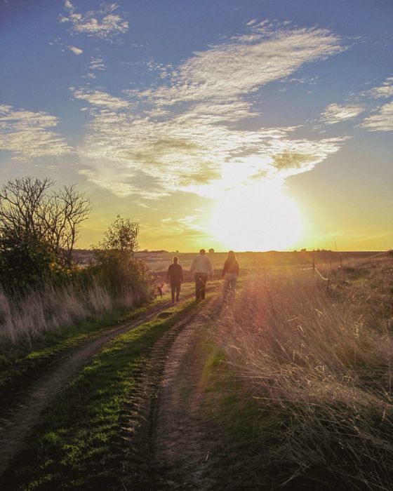 Дигитален фотоапарат Canon Ixus 990 IS