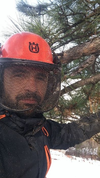 Рязане и премахване на опасни дървета Пловдив щил stihl husqvarna