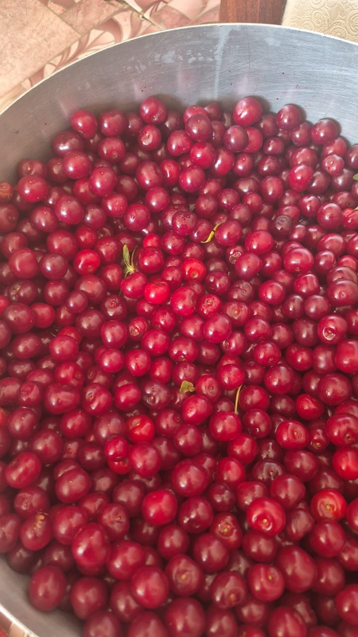 Продам вишню вкусную