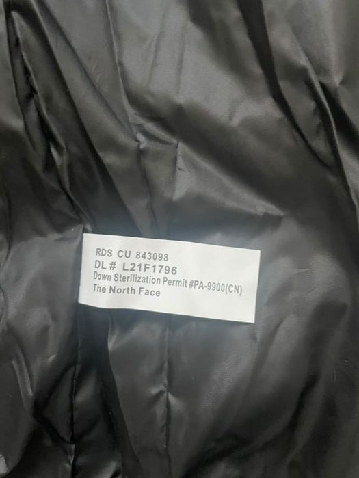 vesta the north face