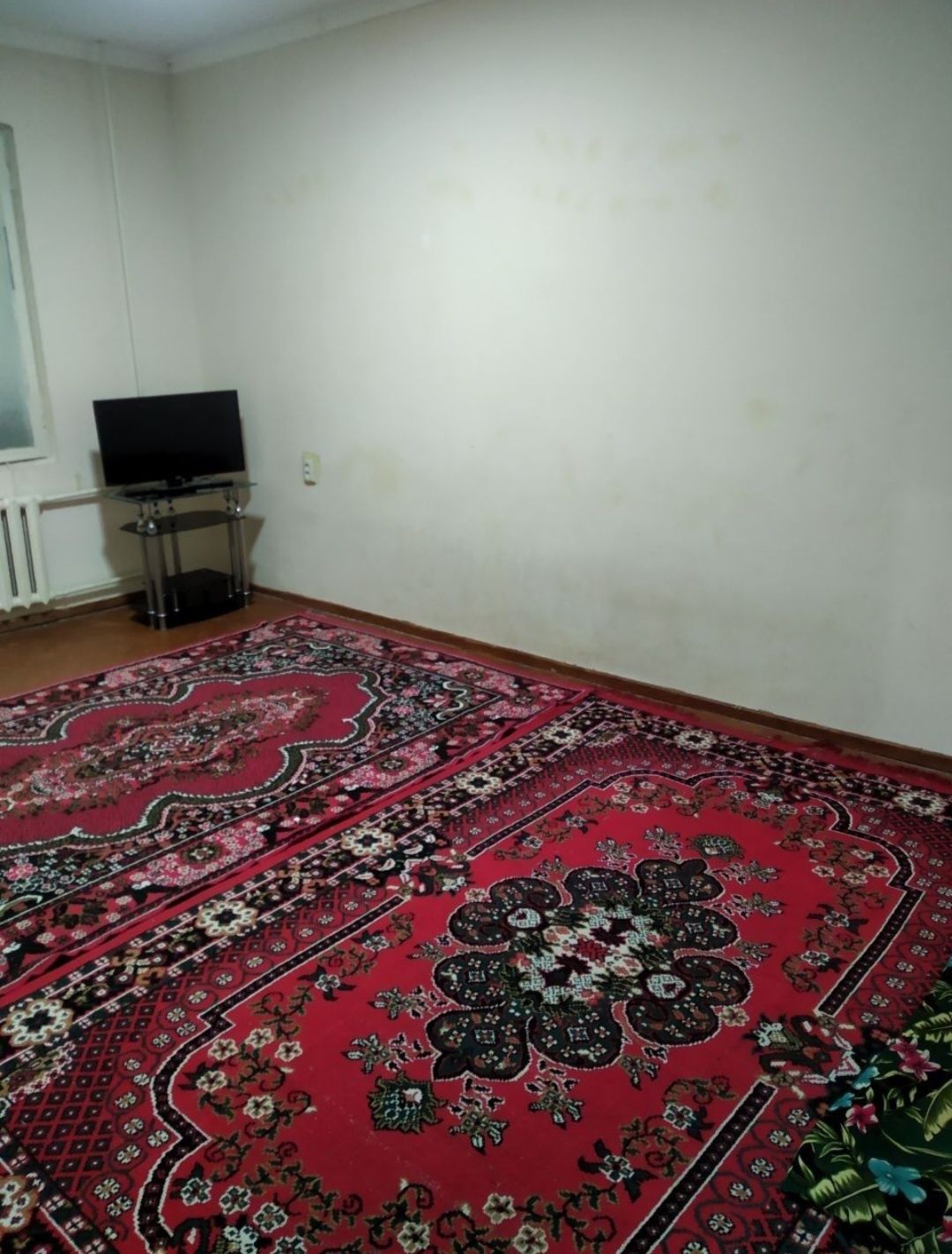 Срочно 2/3/4 ТТЗ-1. Локомотив стадион 50м2