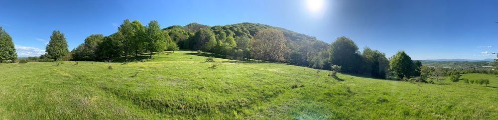 Vând pământ in Copalnic Manastur