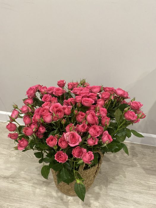 Свежий гүл кешкі 7де алынған