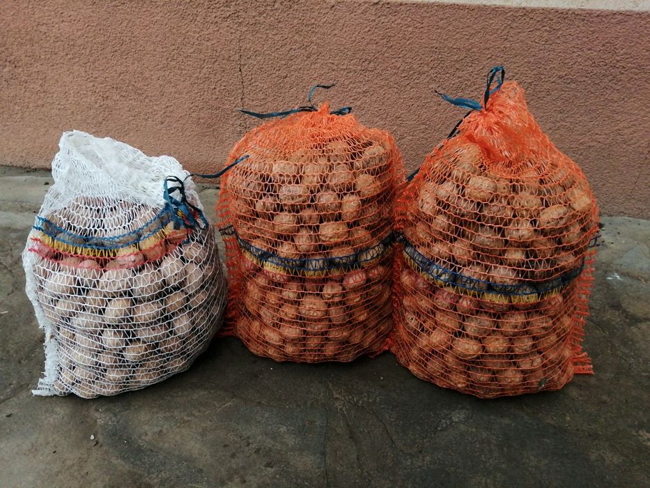 Vând 15 kg nuca în coaja