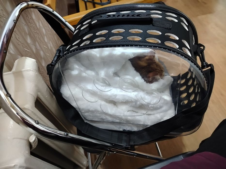 Продам переноску