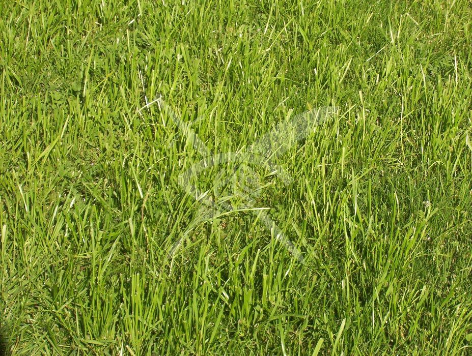 УПИ в Асеновград! 94146