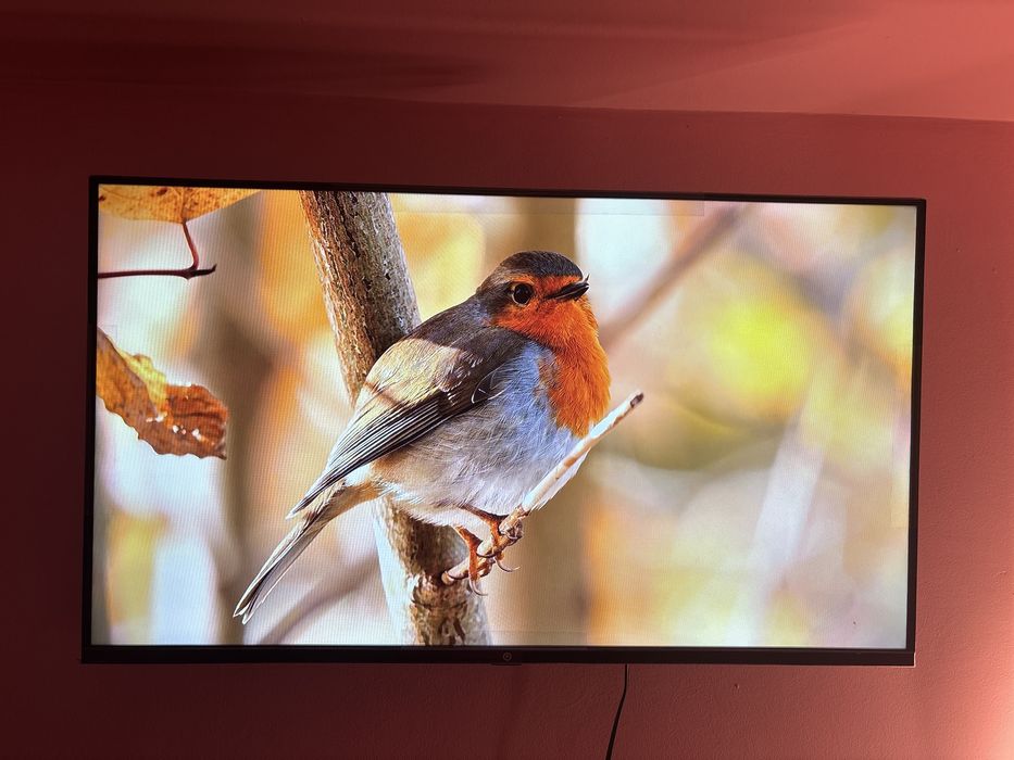 Телевизор Qwatt Q40YF-PB 102 см черный