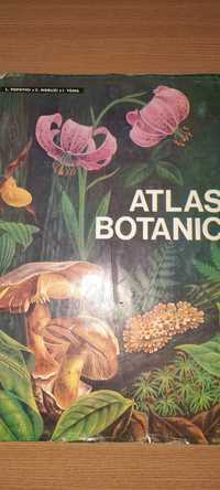 Atlas botanic, 213 pagini, copertă cartonată, 34 x 25 cm, ediția 1994