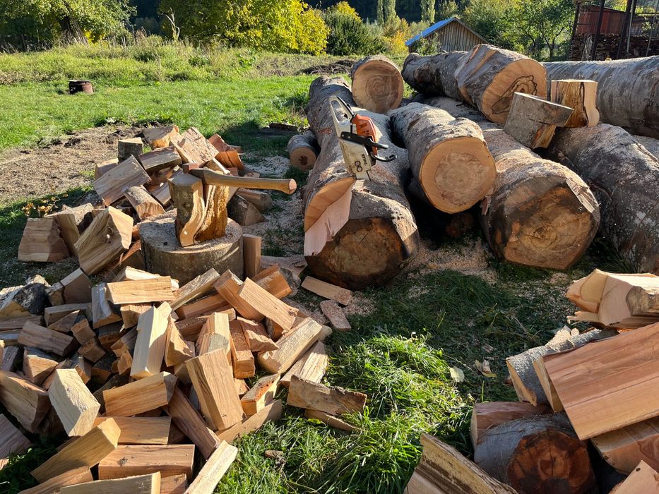 Lemne de foc/ centrală/ șeminee