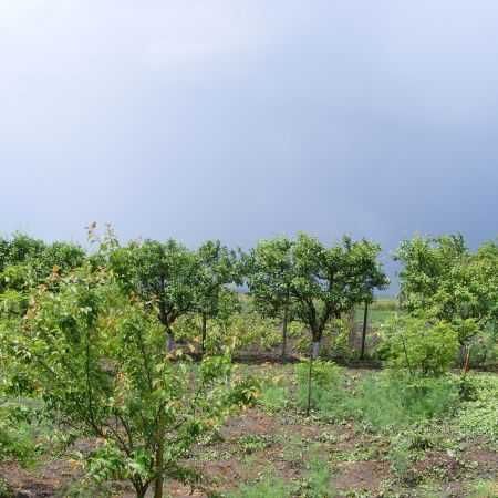 Cornu/PH: Teren  sau Casa si teren intravilan-40E /mp negociabil