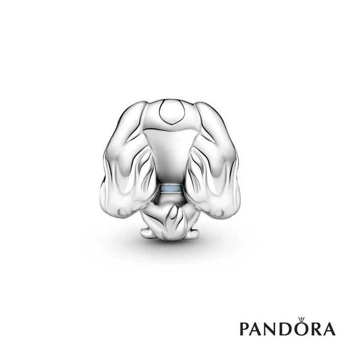 Disney Lady Charm