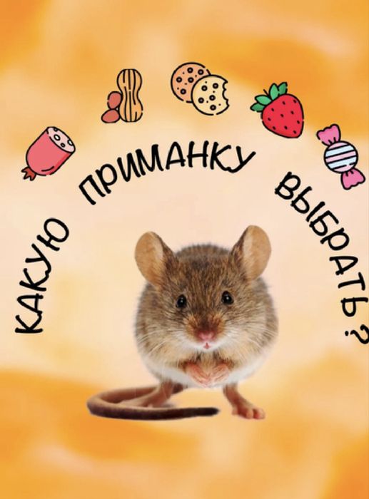 Мышеловка гуманная