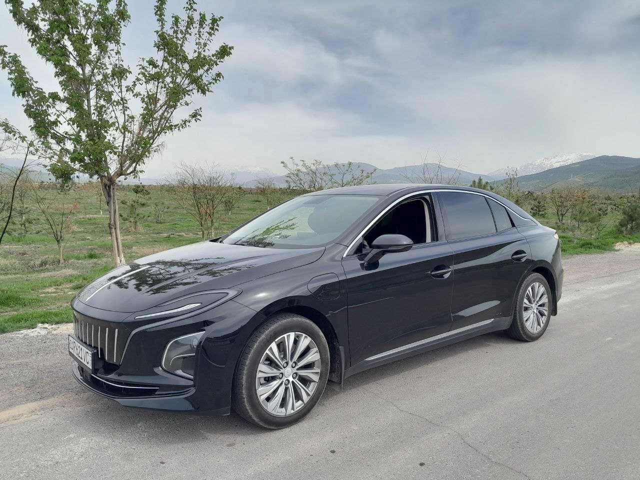 Водитель со своим авто Hongqi eqm5