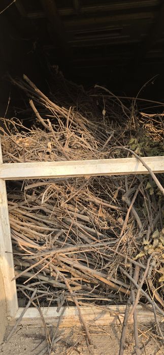 Утин, дрова супер пупер