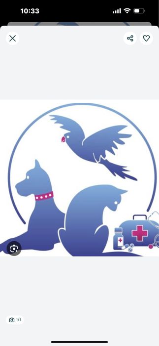 Ветеринар куруглосуточно 24/7 жовохир Акромходжайв