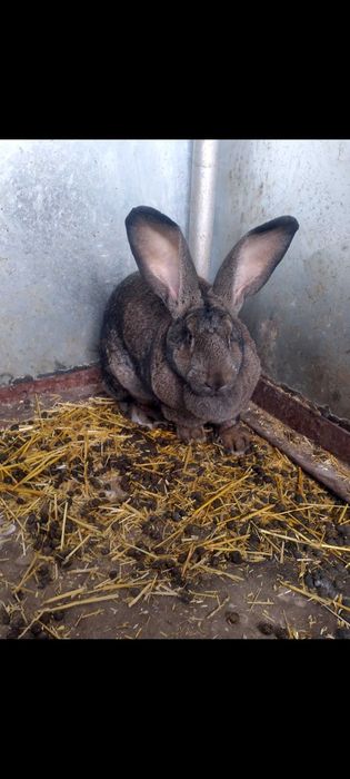 Женска на 10 месеца