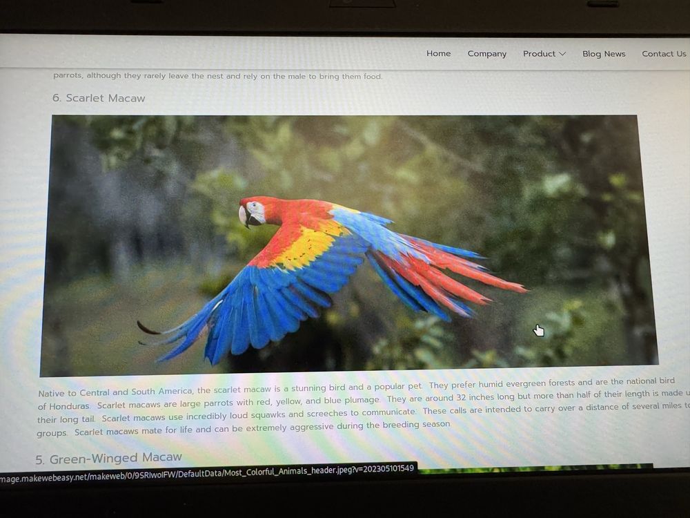 Lenovo X230 IPS 8GB RAM 256 SSD