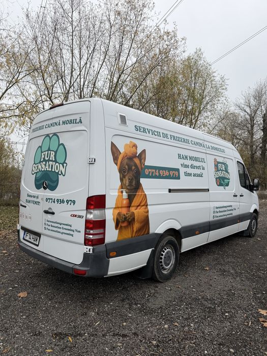 Frizerie canină si felină la domiciliu tau