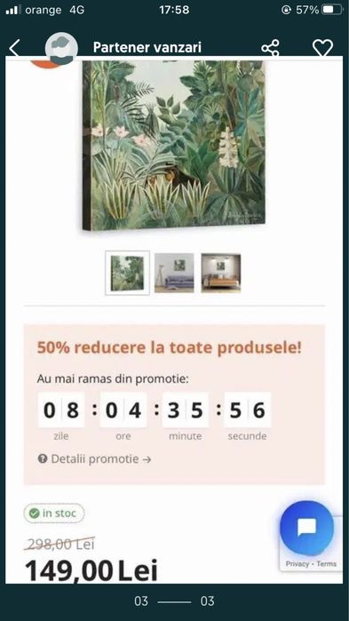 Tablou print canvas, motiv Jungla, 40x40 cm