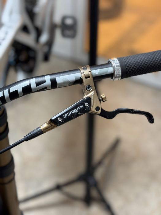 Frâne Trp dhr evo gold