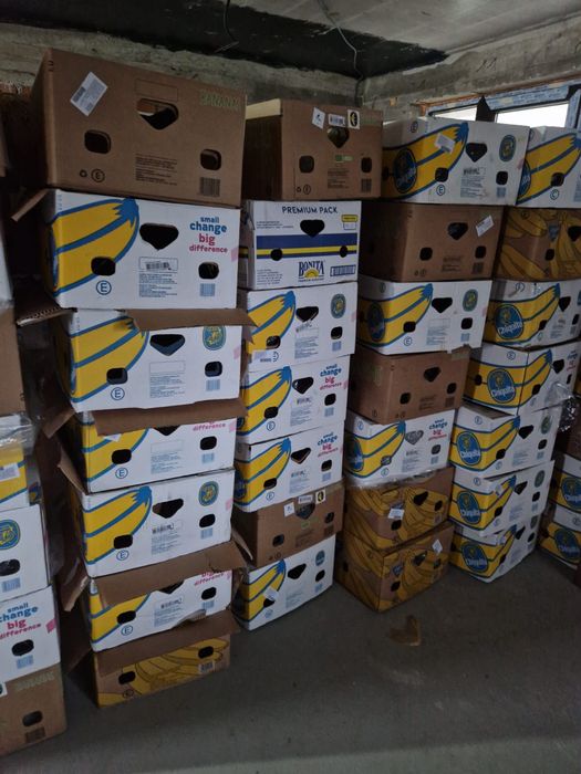 Vand Baxuri de banane noi