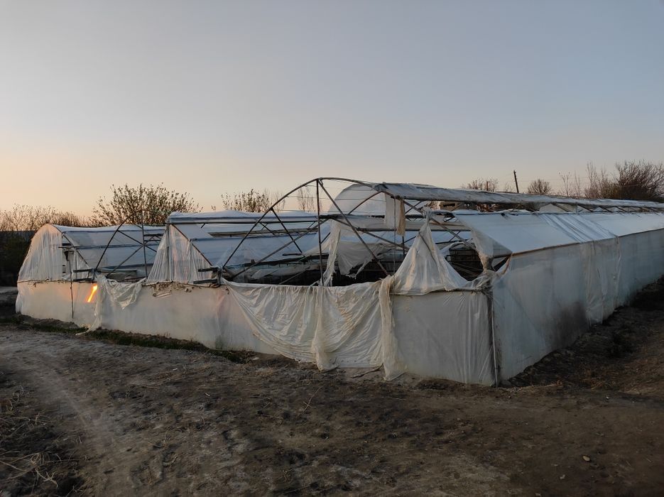 Иссиқхона 5,5 сотиқли arzonga tez sotiladi