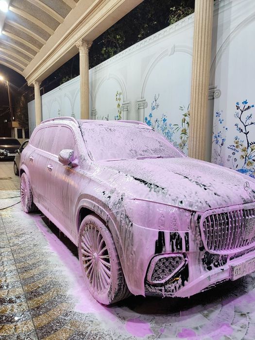 Выездная автомойка