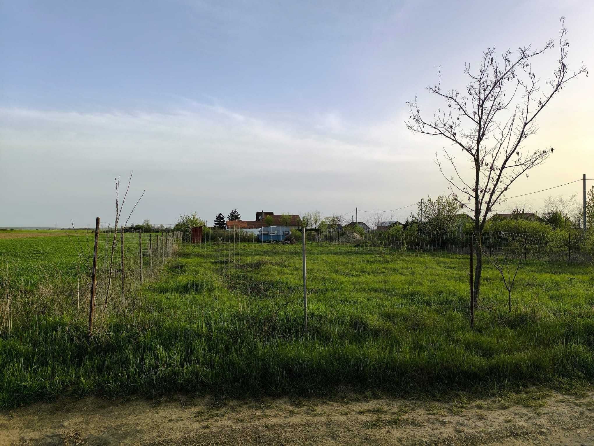Teren intravilan Colonie Gepiu (langa Orizont), ingradit, 604 mp