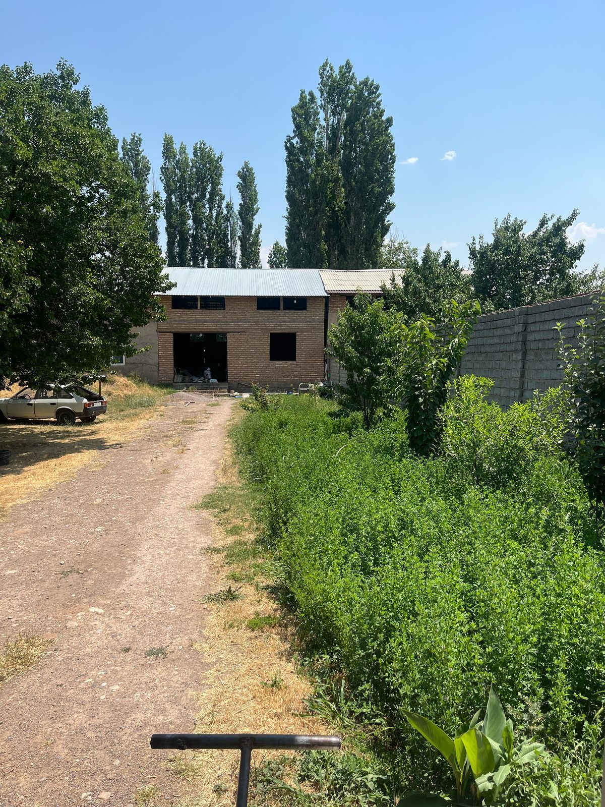 Участка Янги Чарвак