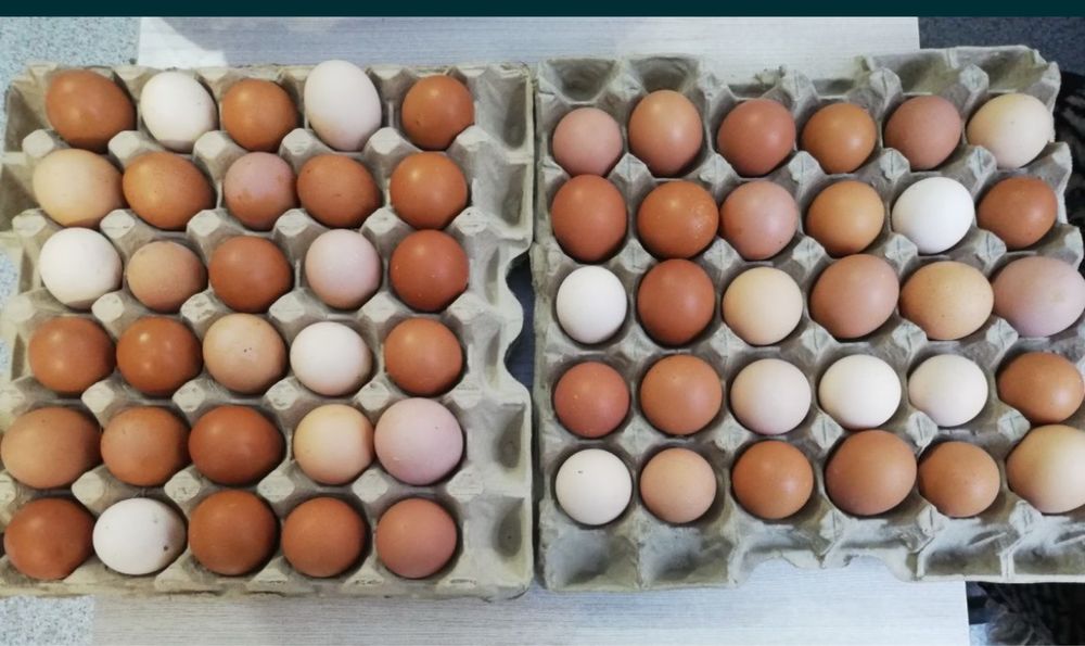 Яйцо домашнее куриное крупное