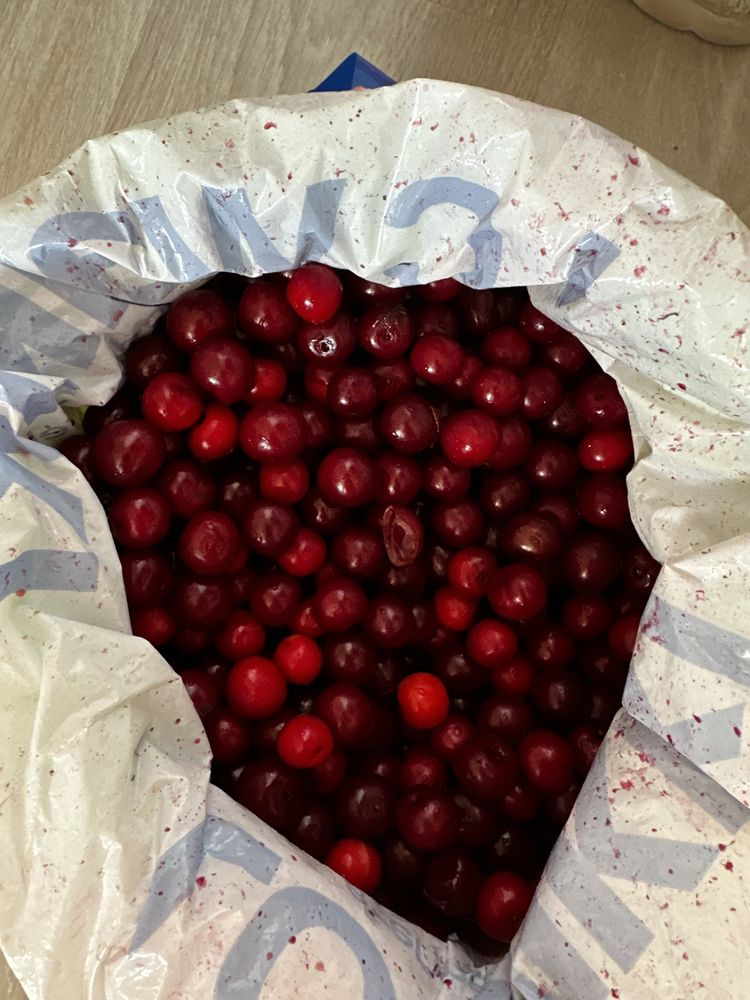 Продам домашнюю вишню