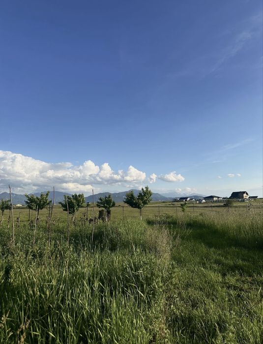 Teren de vanzare in Sanpetru, Brasov - 2 parcele, 440 mp si 800 mp