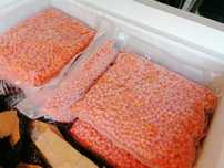 Punga 1 kg. vidata cu catina congelata