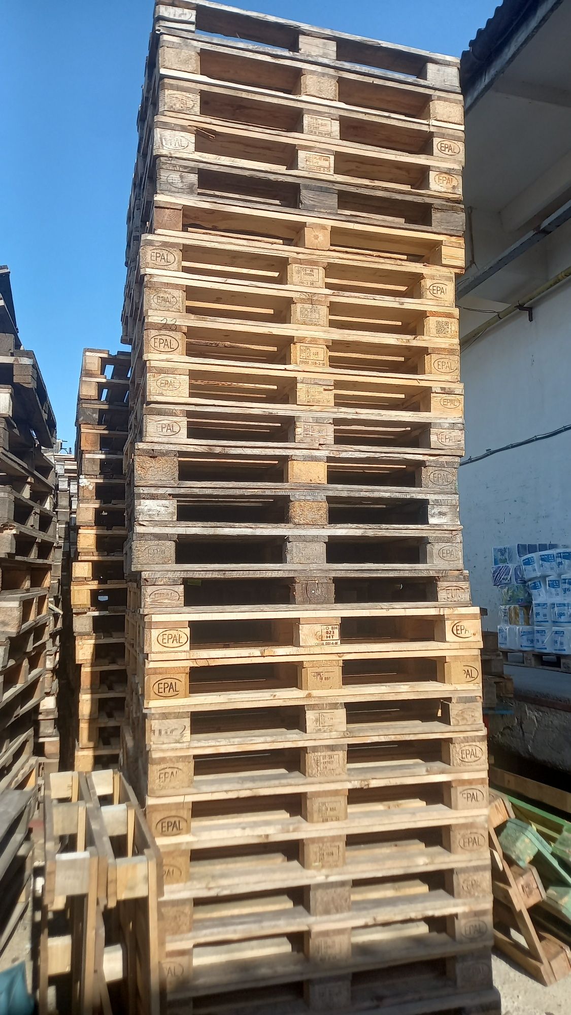 Vând paleți euro/non euro 1200x800